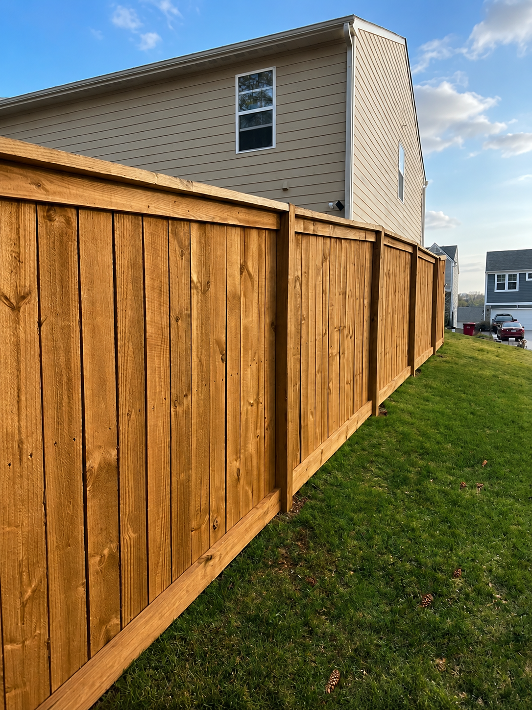 Privacy Fence